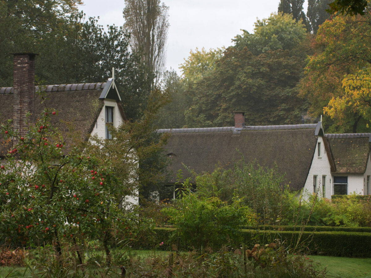 Koloniehuisjes in Frederiksoord