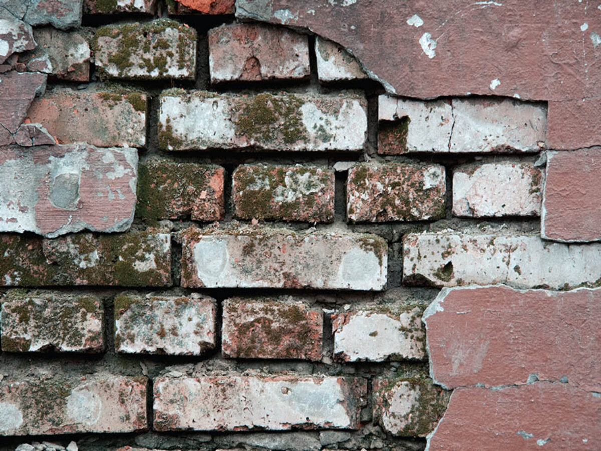 crannied plaster on red brick wall with moss